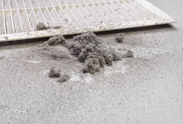 Best Ventilation Cleaning Services  in Cotulla, TX