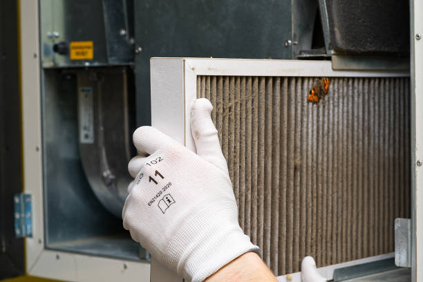 Best Professional Duct Cleaning Services  in Cotulla, TX