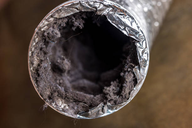 Best Air Duct Cleaning Company Near Me  in Cotulla, TX